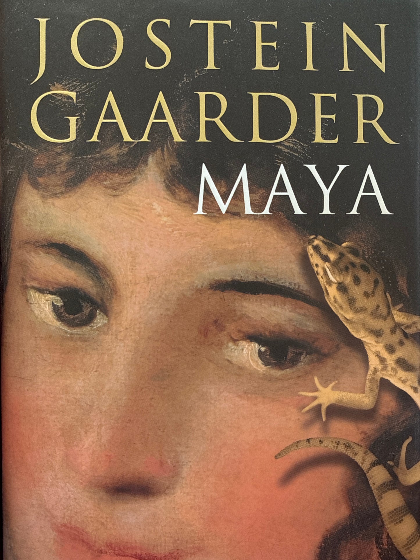 Maya - Innbundet