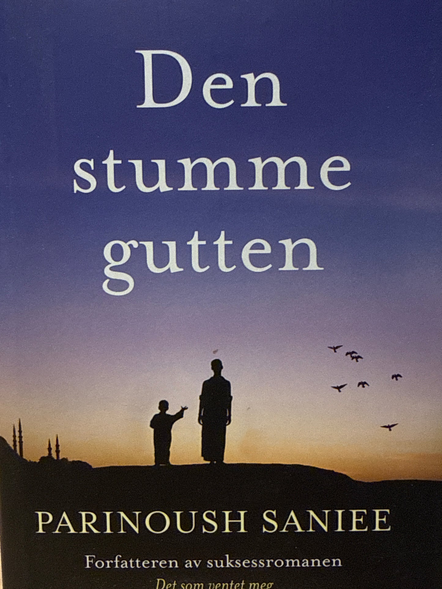 Den stumme gutten - Innbundet