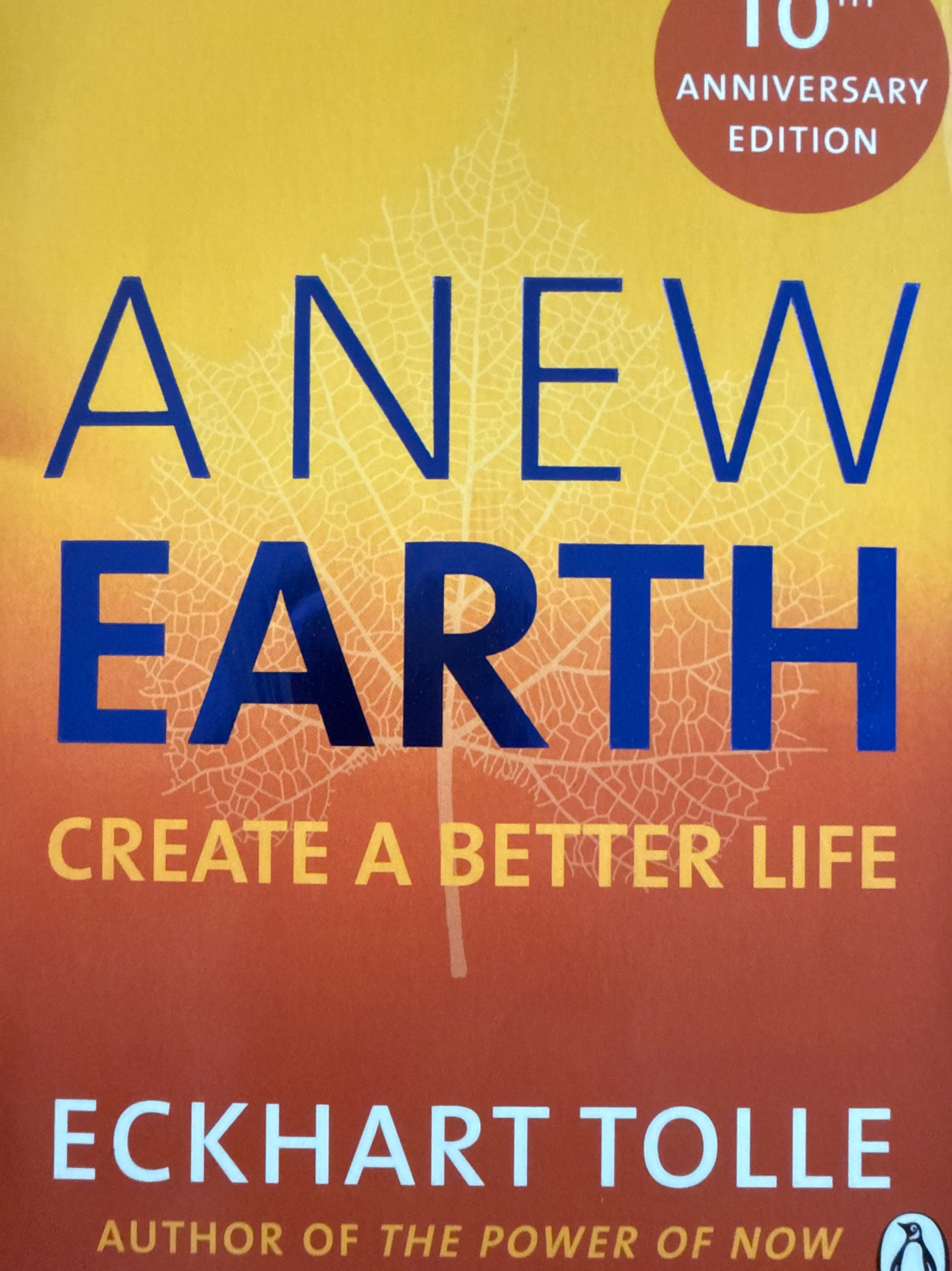 A New Earth - Pocket