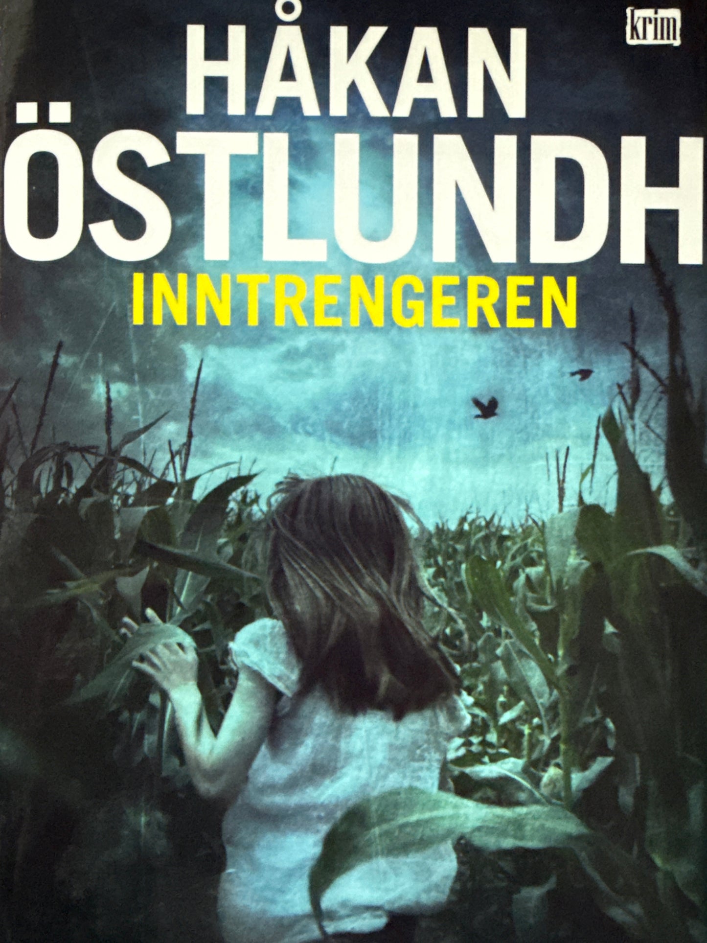 Inntrengeren - Innbundet