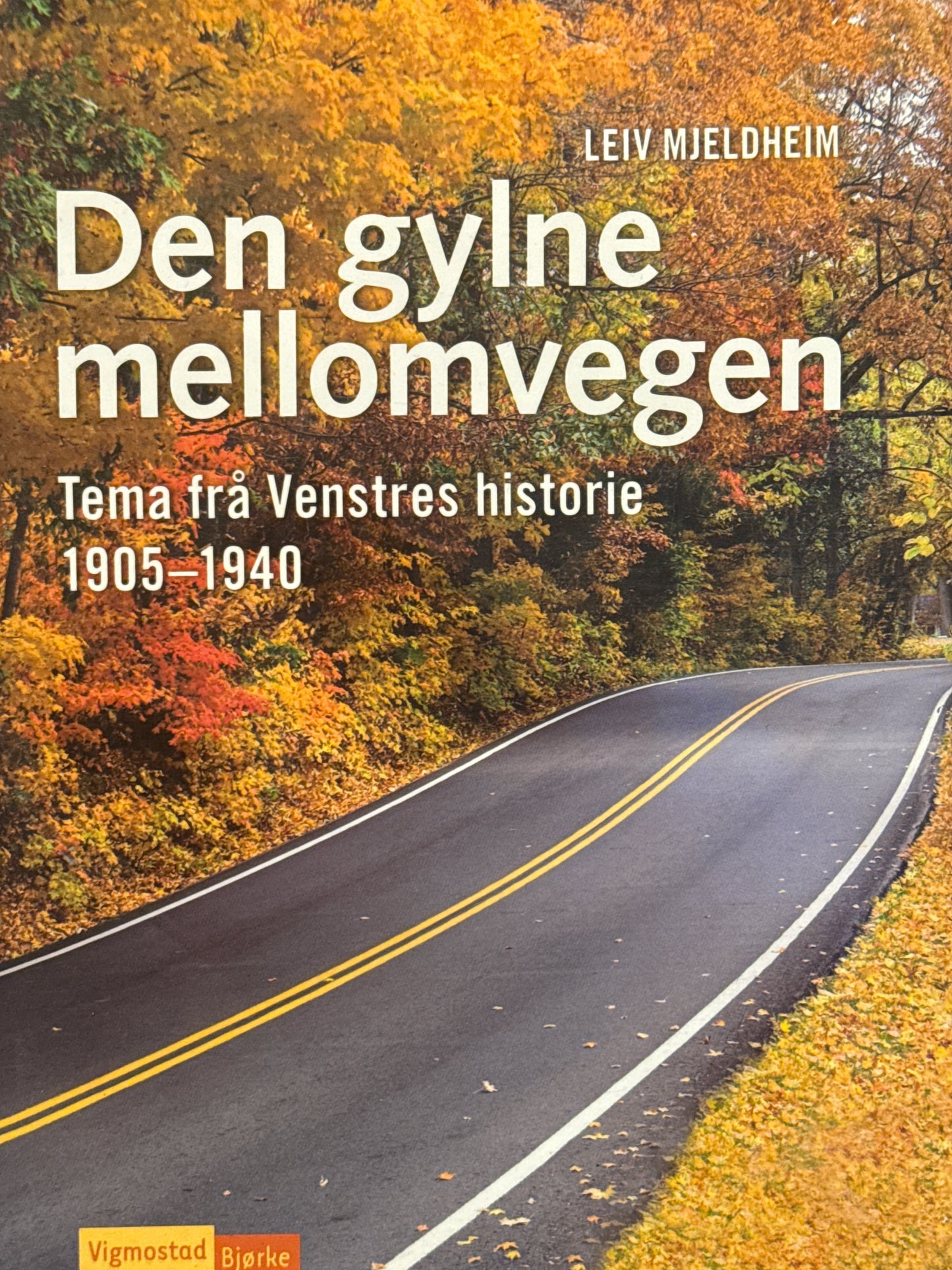 Den gylne mellomvegen - Innbundet