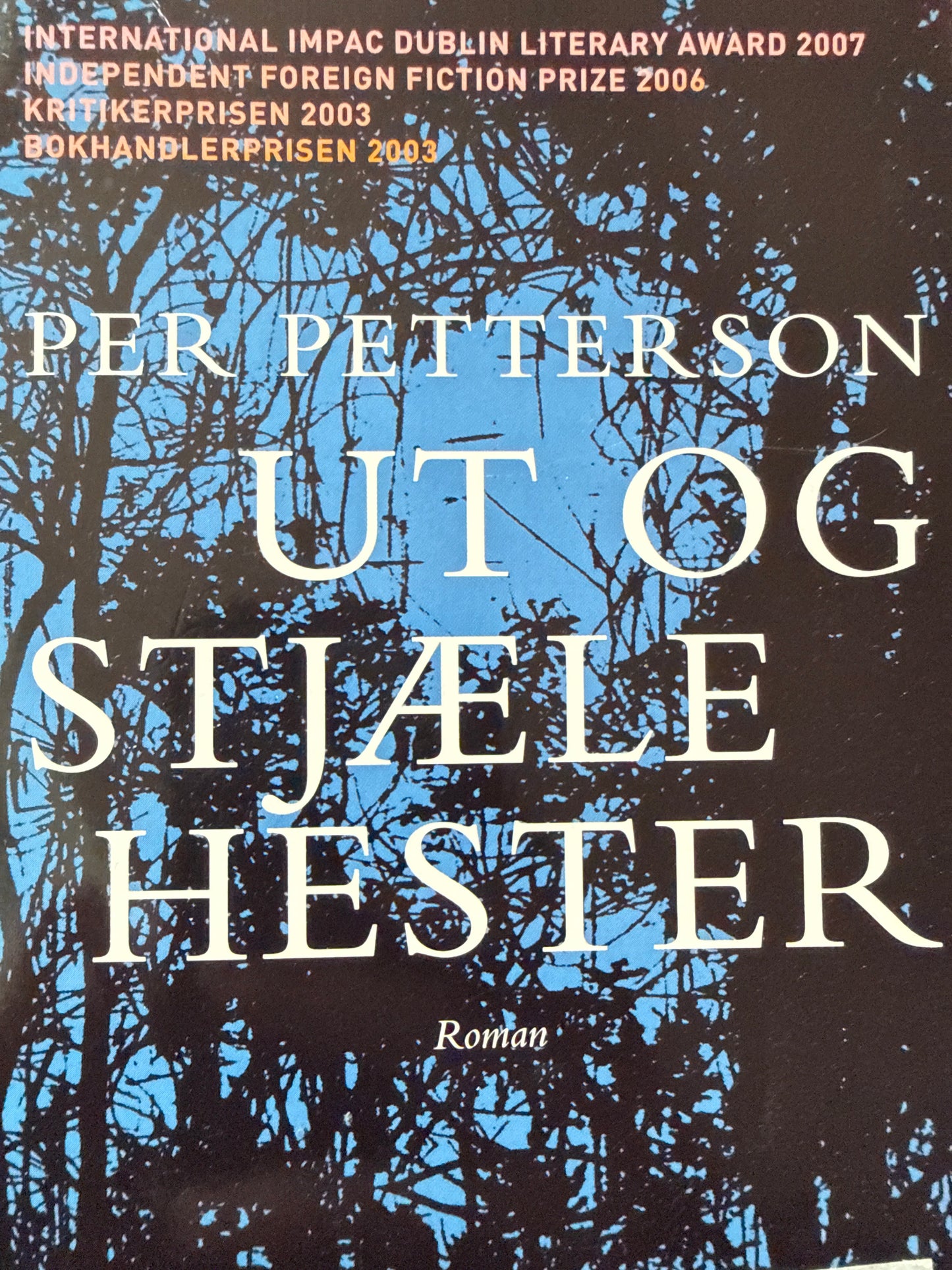 Ut og stjæle hester - Pocket
