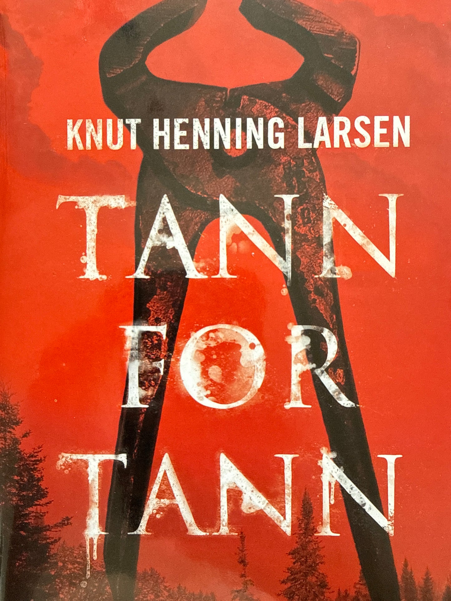 Tann for tann - Innbundet