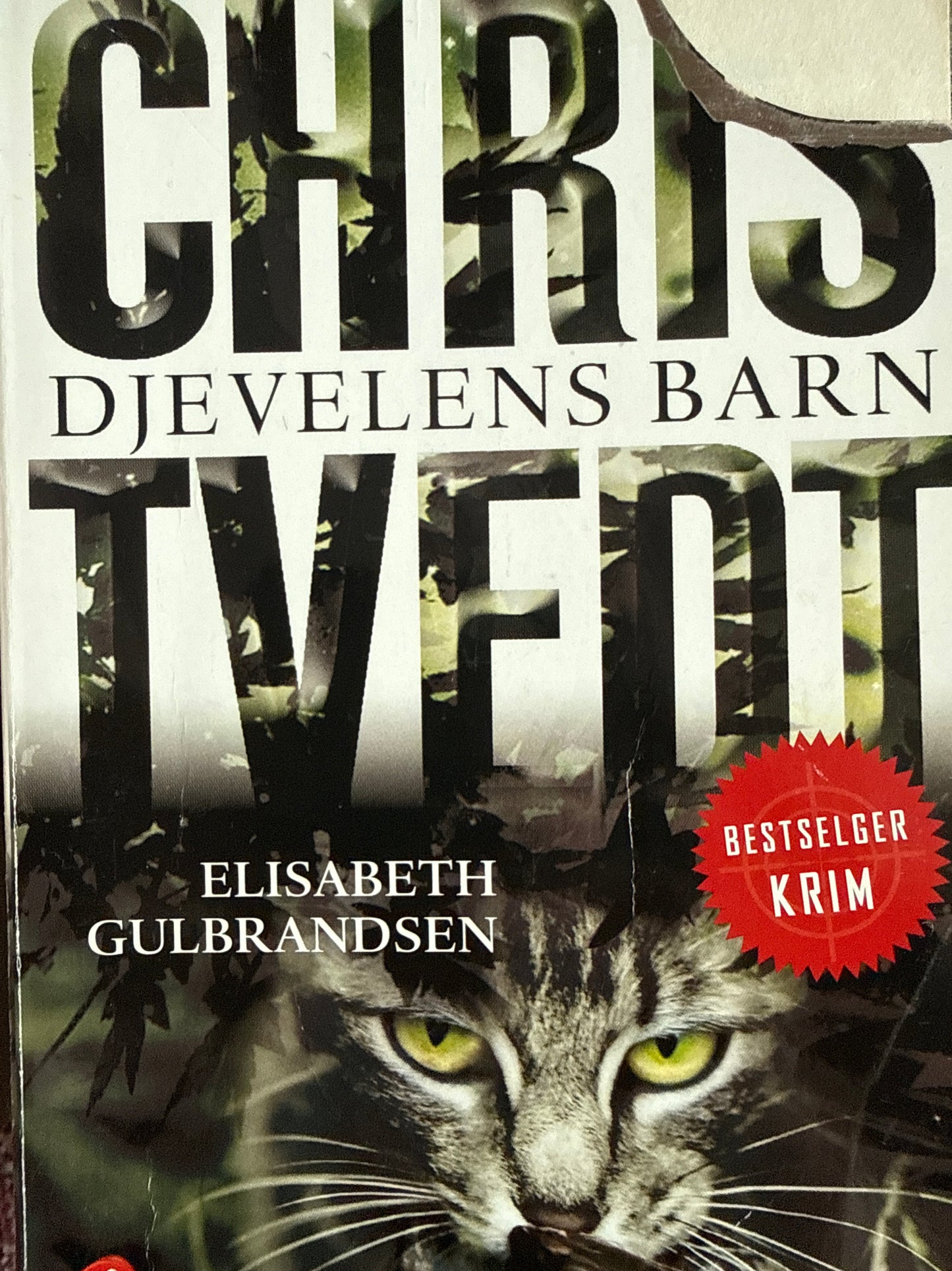 Djevelens barn - Pocket