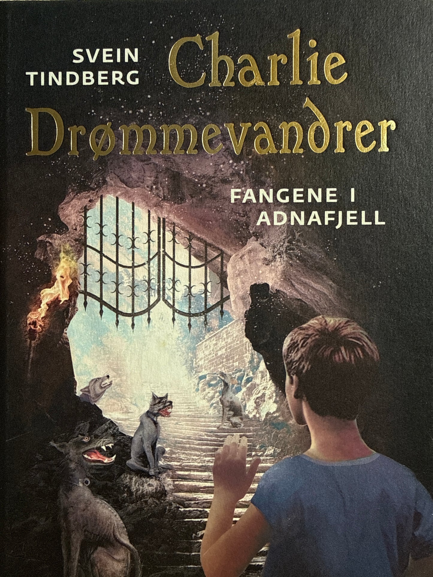 Fangene i Adnafjell - Innbundet