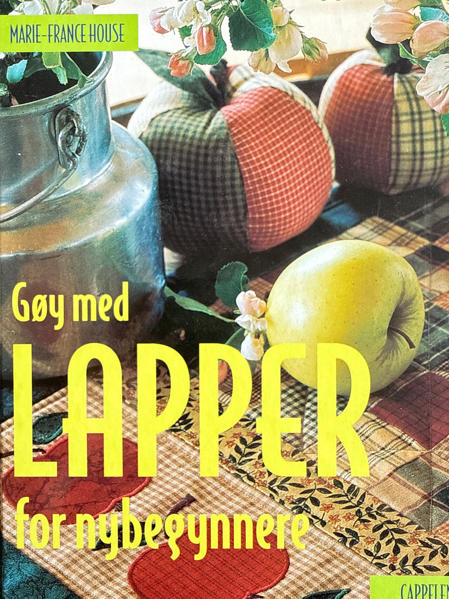 Gøy med lapper - Innbundet