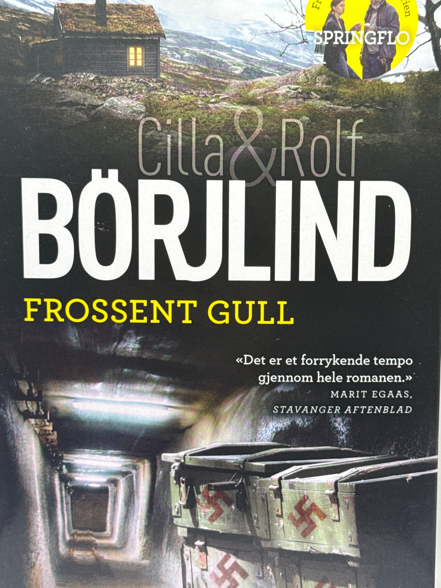 Frossent gull - Pocket