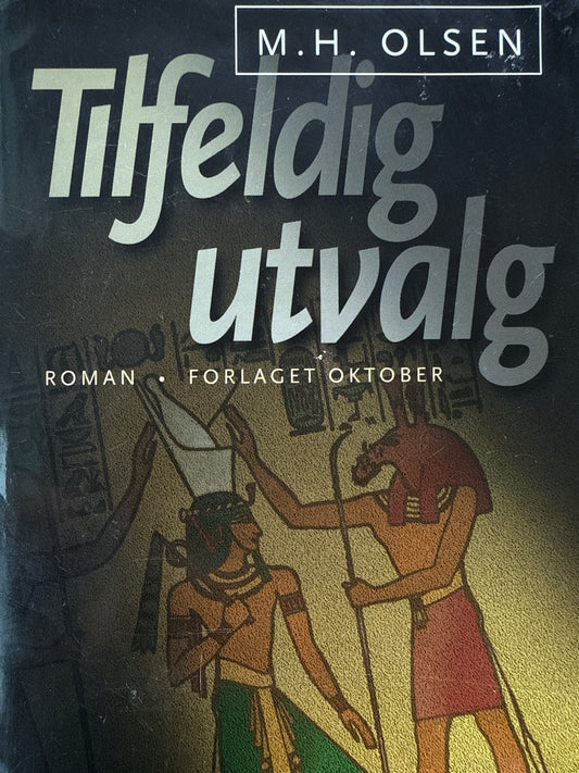 Tilfeldig utvalg - Innbundet