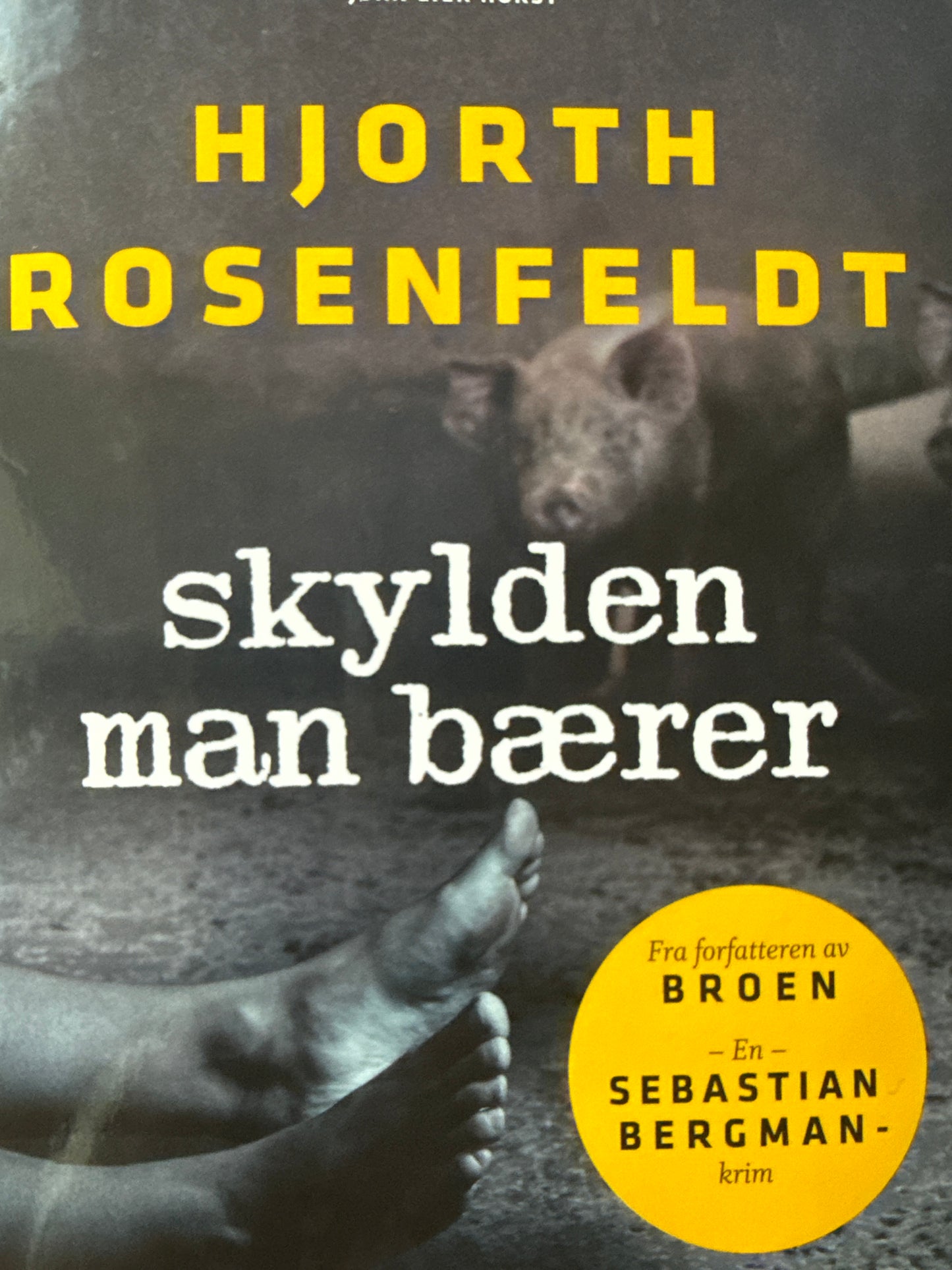 Skylden man bærer - Pocket