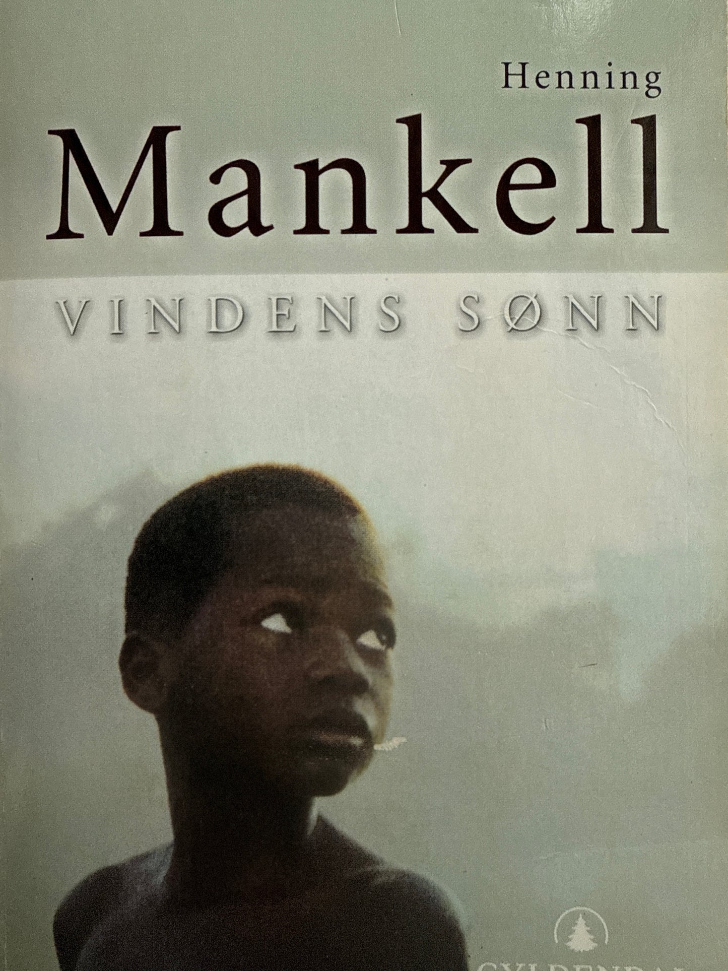 Vindens sønn - Pocket