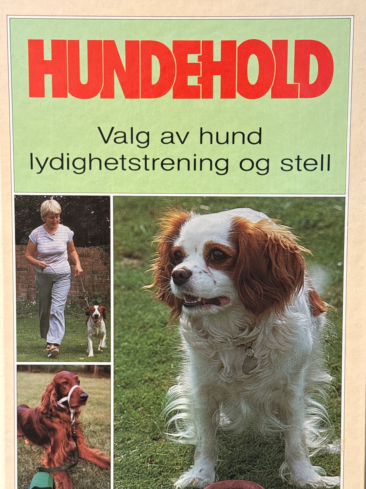 Hundehold - Innbundet