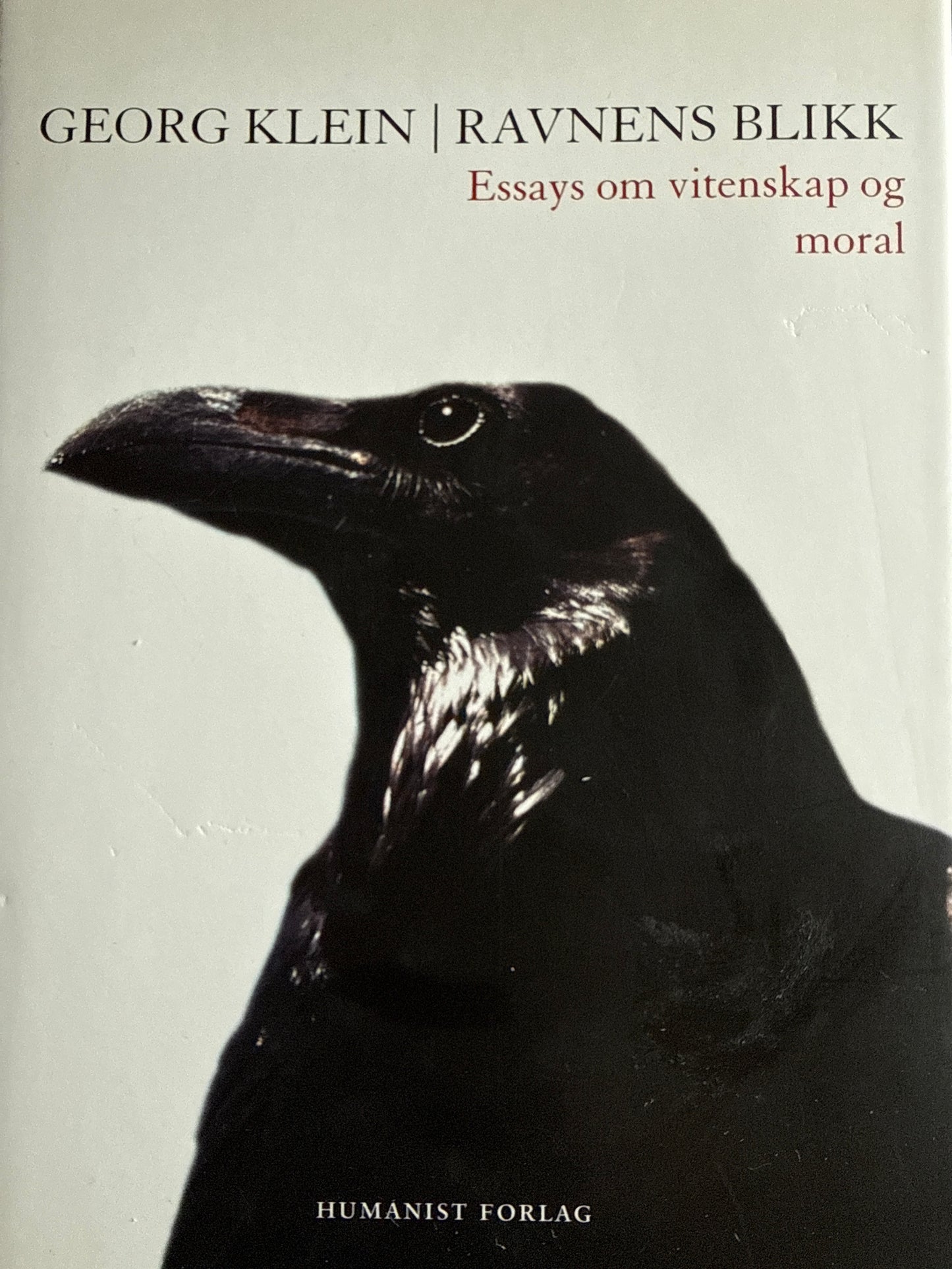 Ravnens blikk - Innbundet