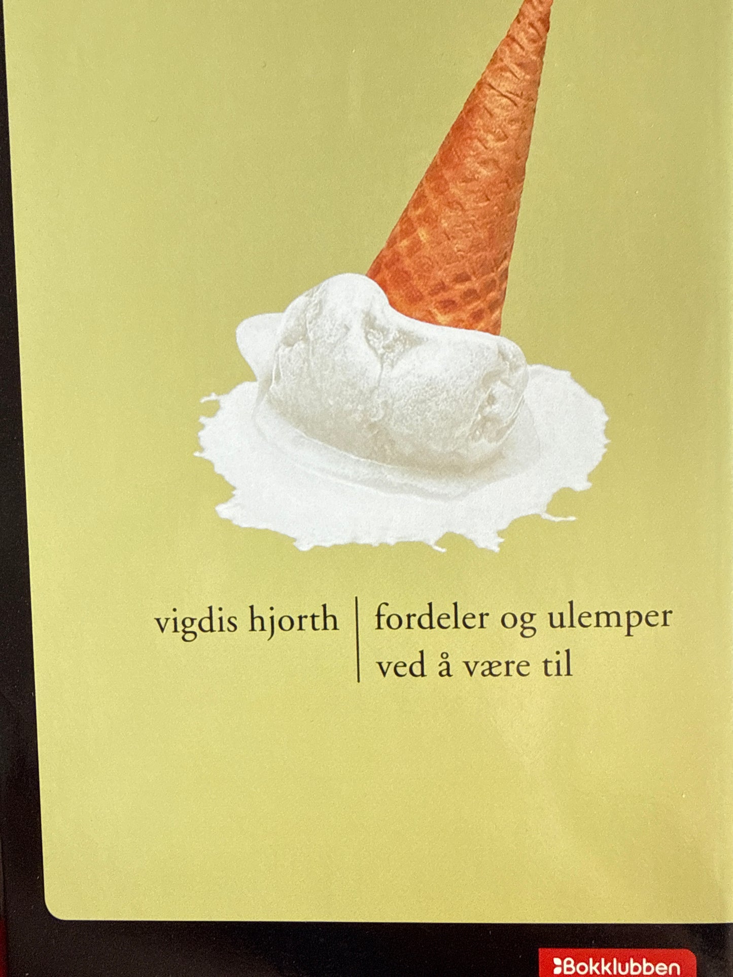 Fordeler og ulemper ved å være til - Innbundet