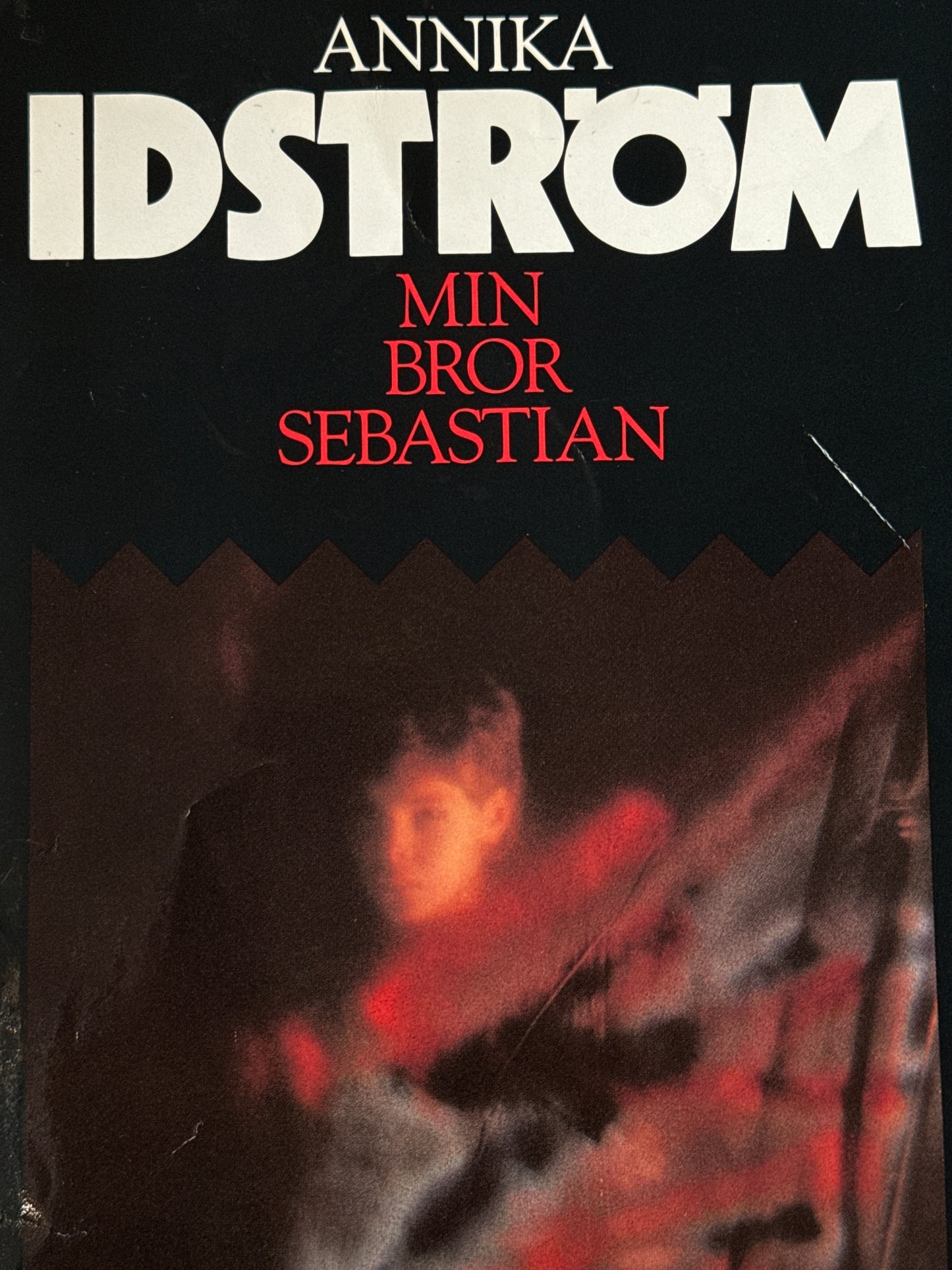 Min bror Sebastian - Innbundet