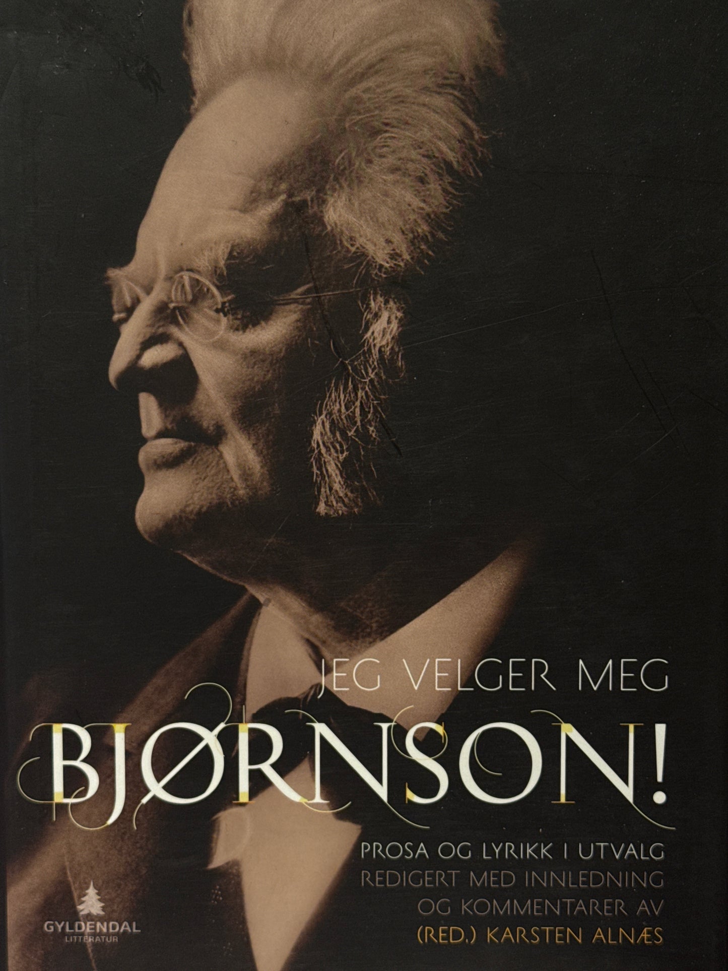 Jeg velger meg Bjørnson! - Innbundet