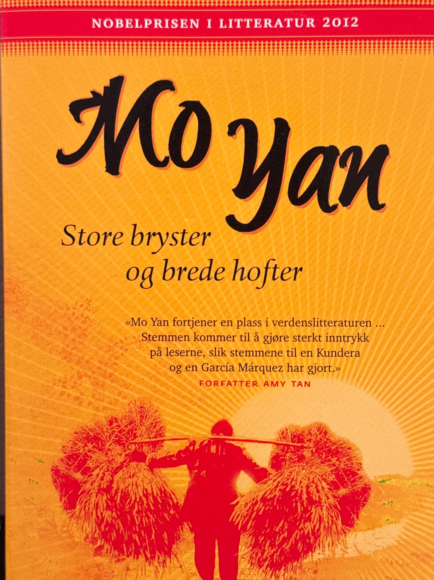 Store bryster og brede hofter - Pocket