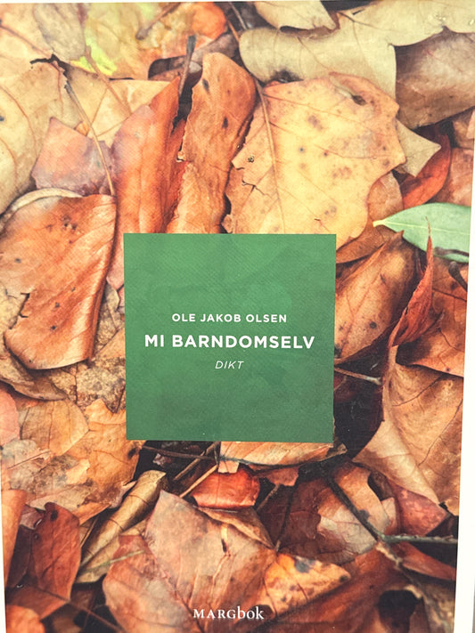 Mi barndomselv - Pocket