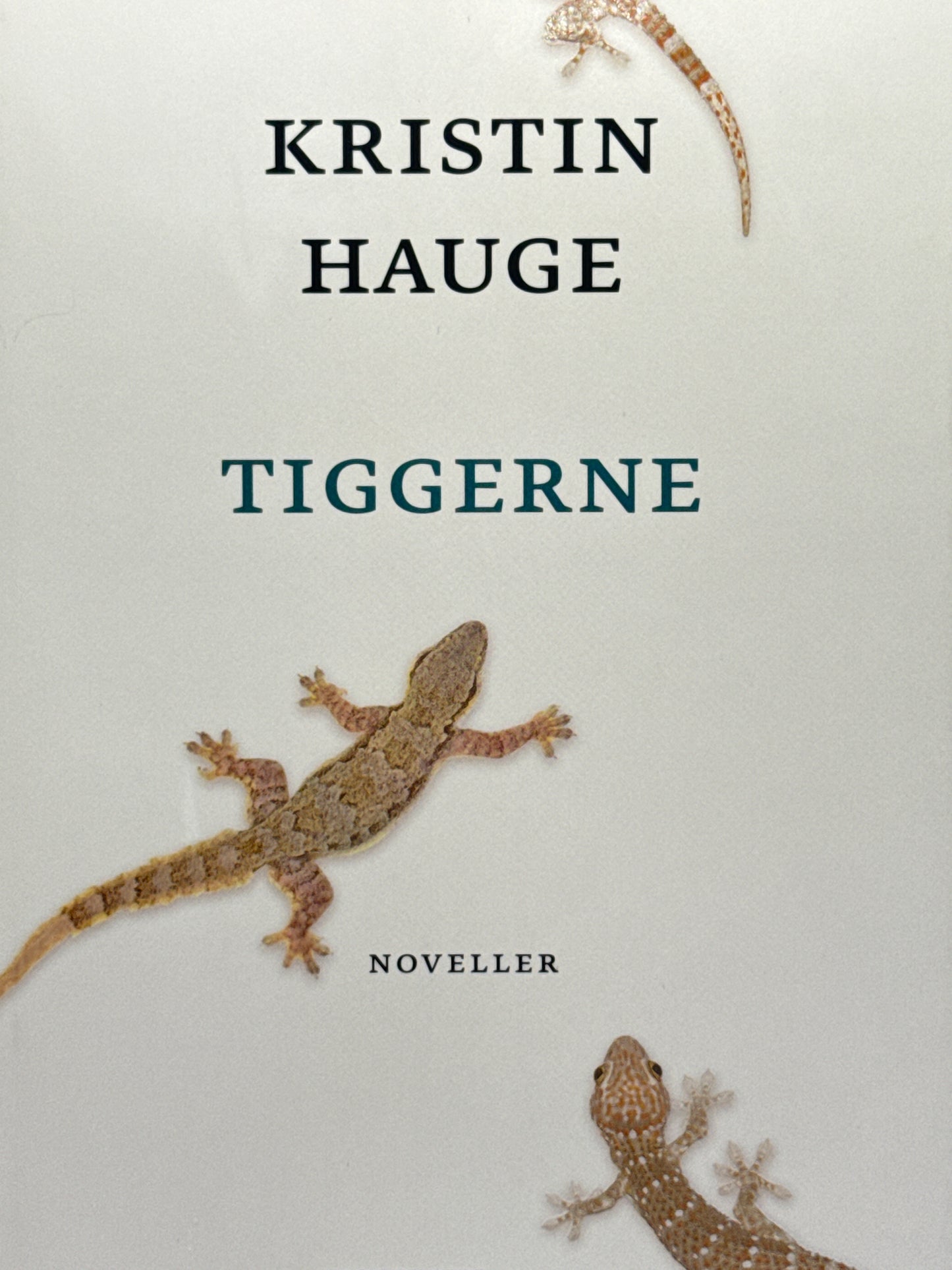 Tiggerne - Innbundet