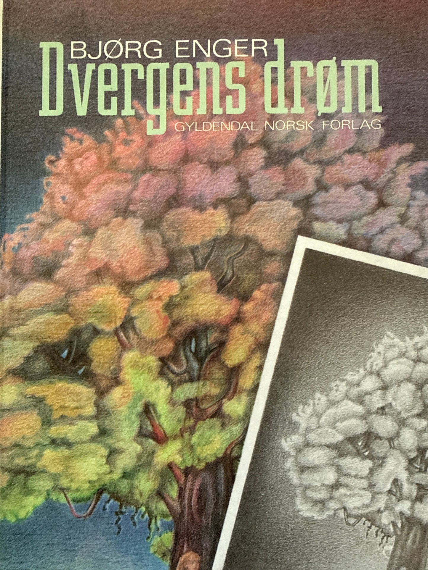 Dvergens drøm - Innbundet