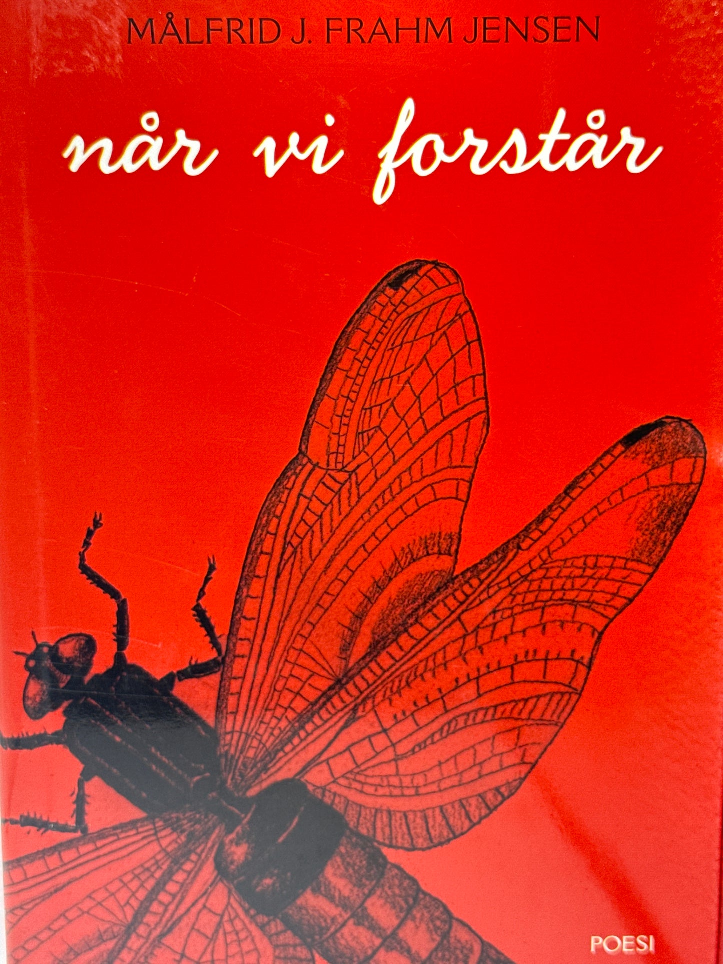 Når vi forstår - Innbundet