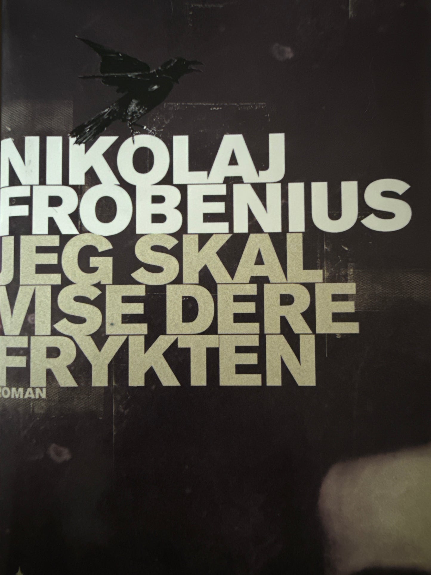 Jeg skal vise dere frykten - Innbundet