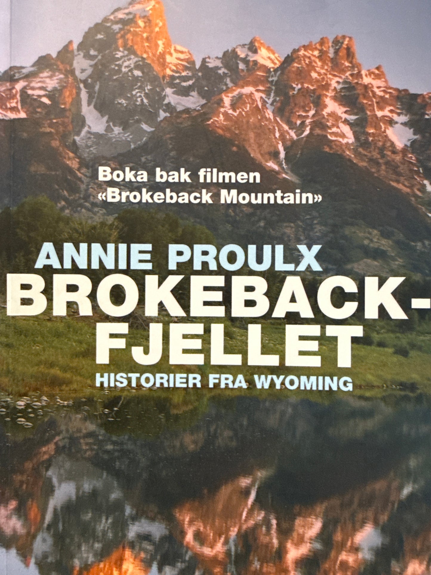 Brokeback-fjellet - Pocket