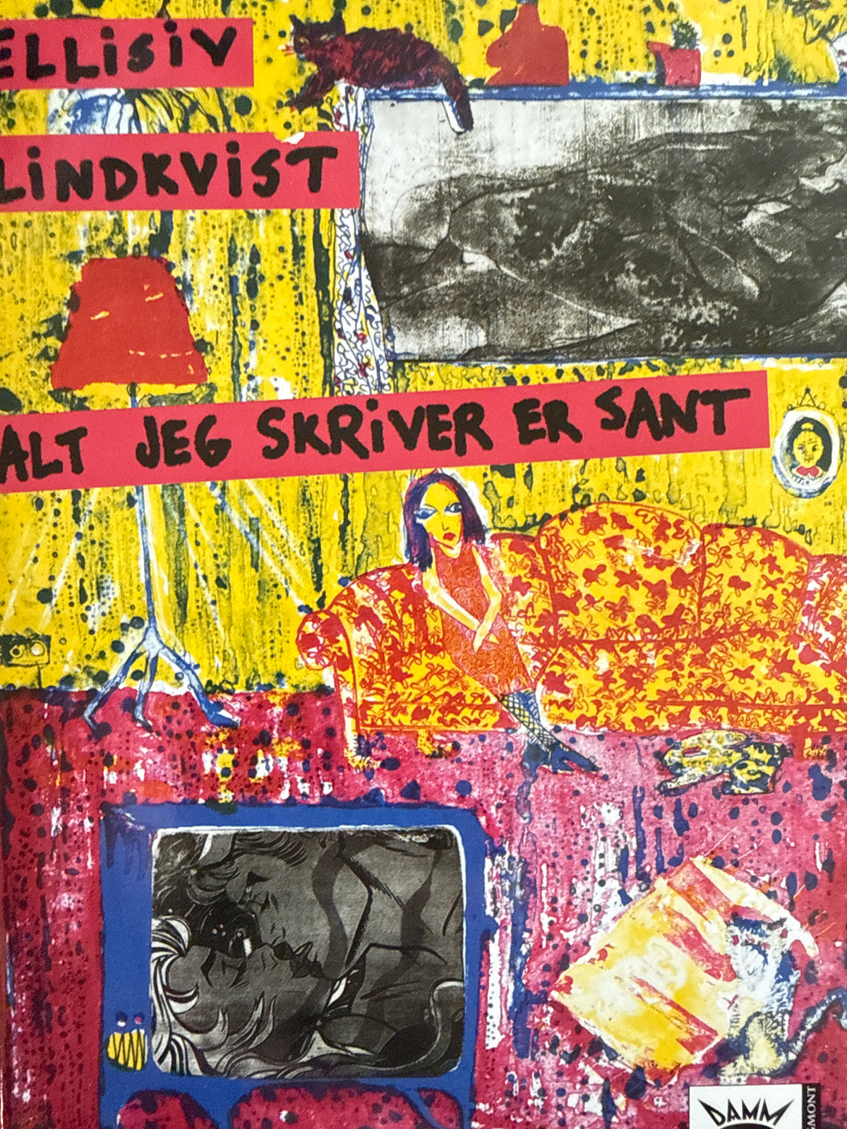 Alt jeg skriver er sant - Innbundet