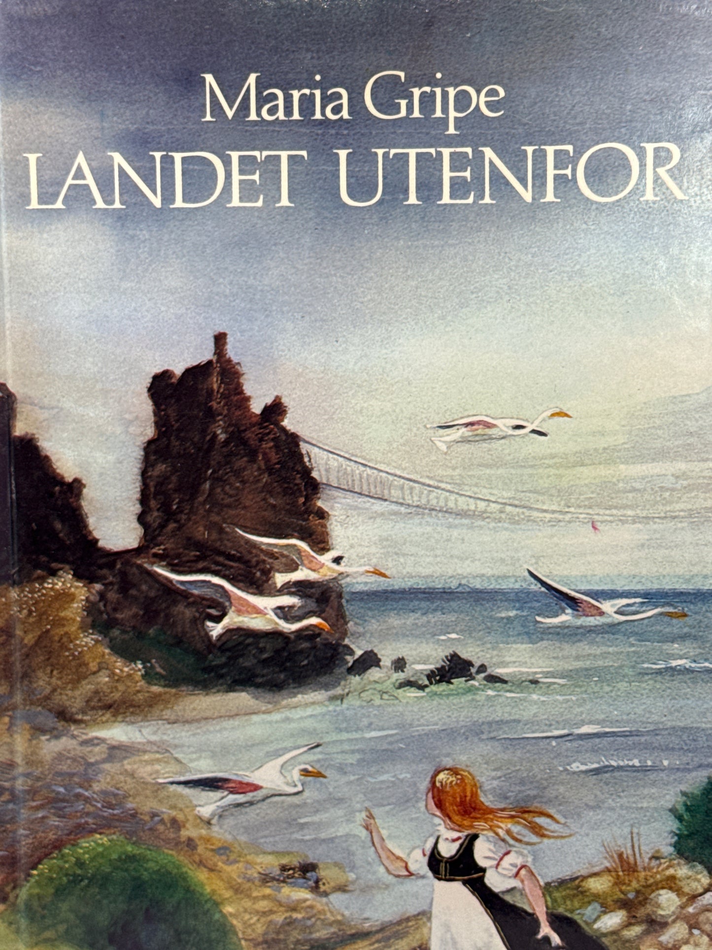 Landet utenfor - Innbundet