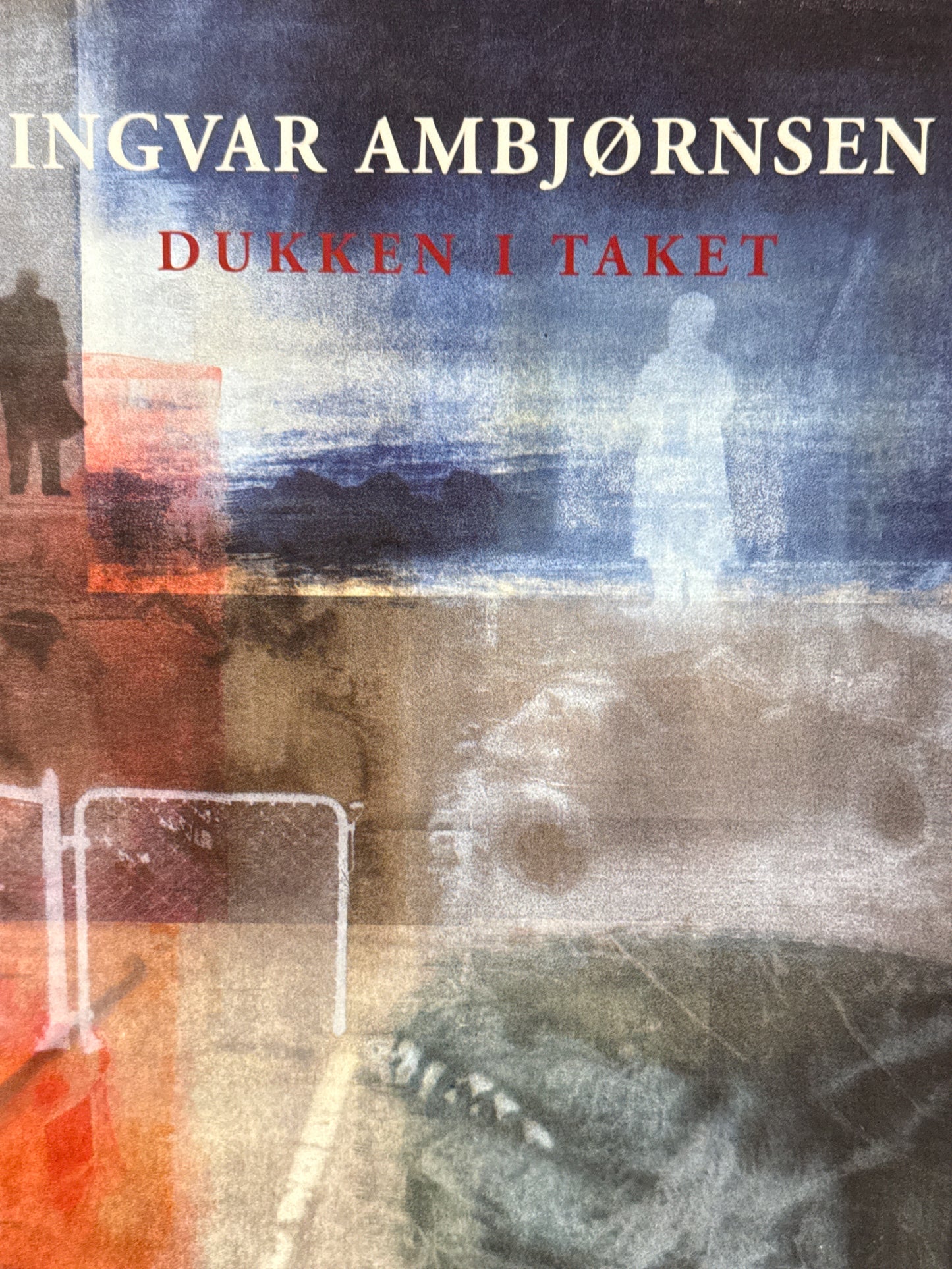 Dukken i taket - Innbundet