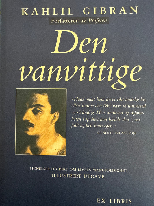 Den vanvittige - Innbundet