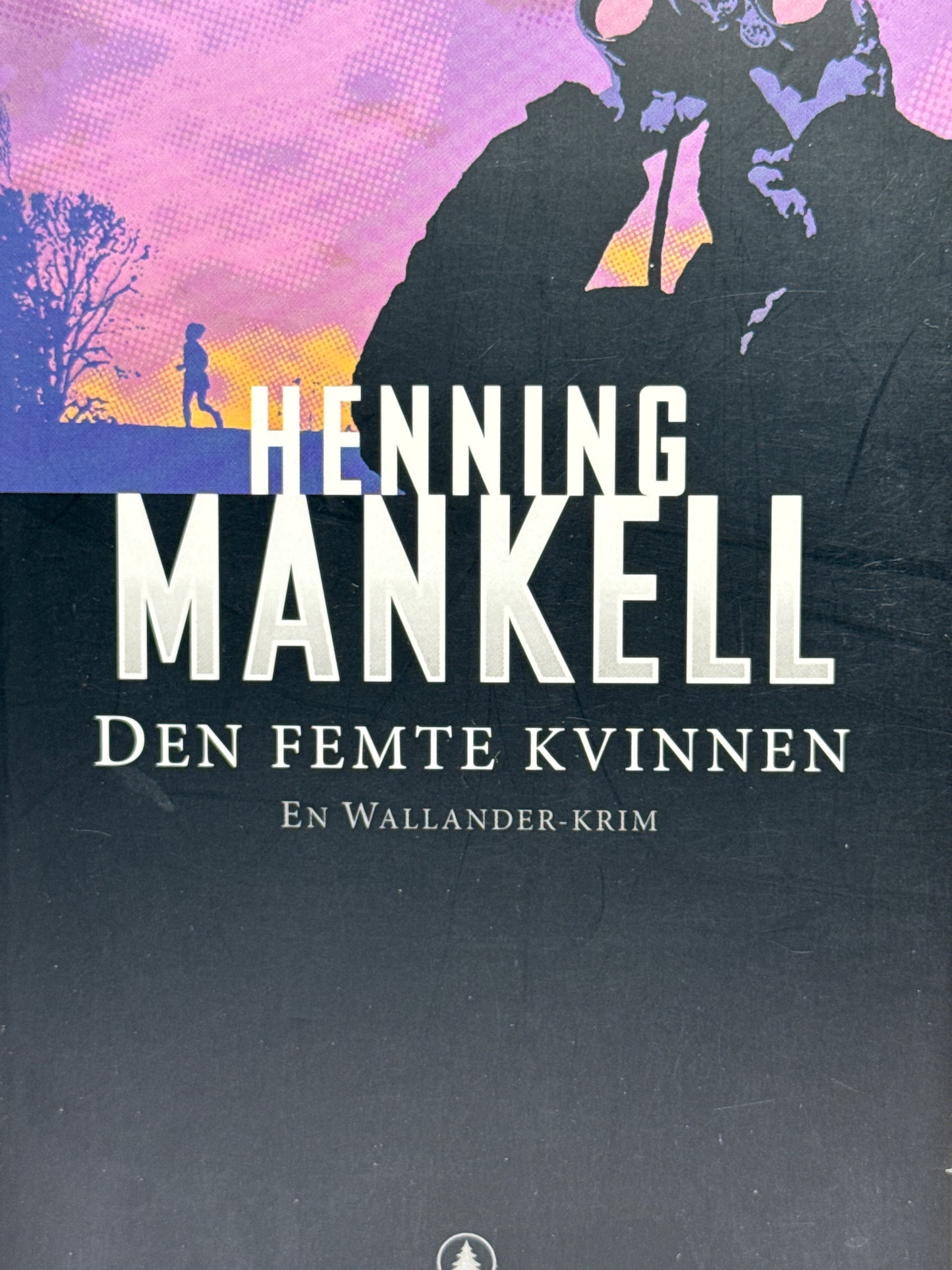 Den femte kvinnen - Pocket