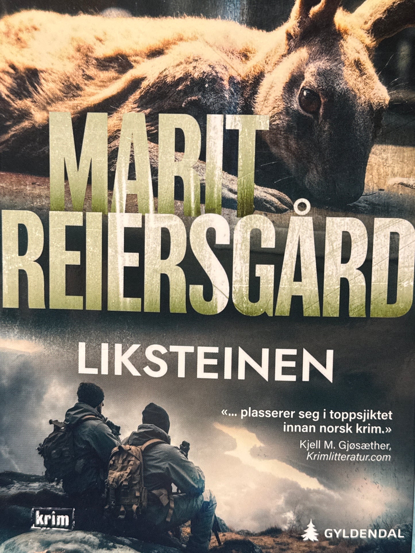 Liksteinen - Pocket