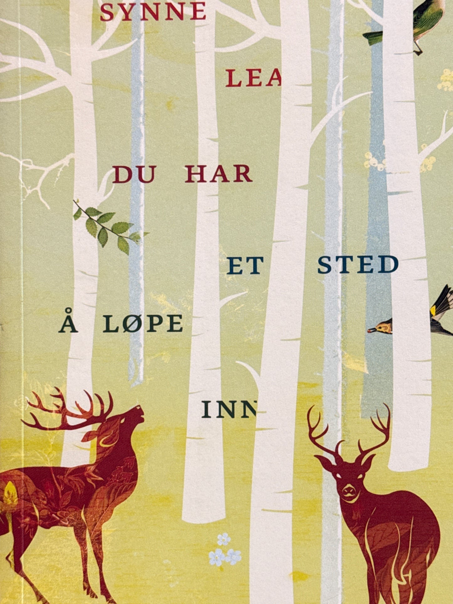 Du har et sted å løpe inn - Pocket