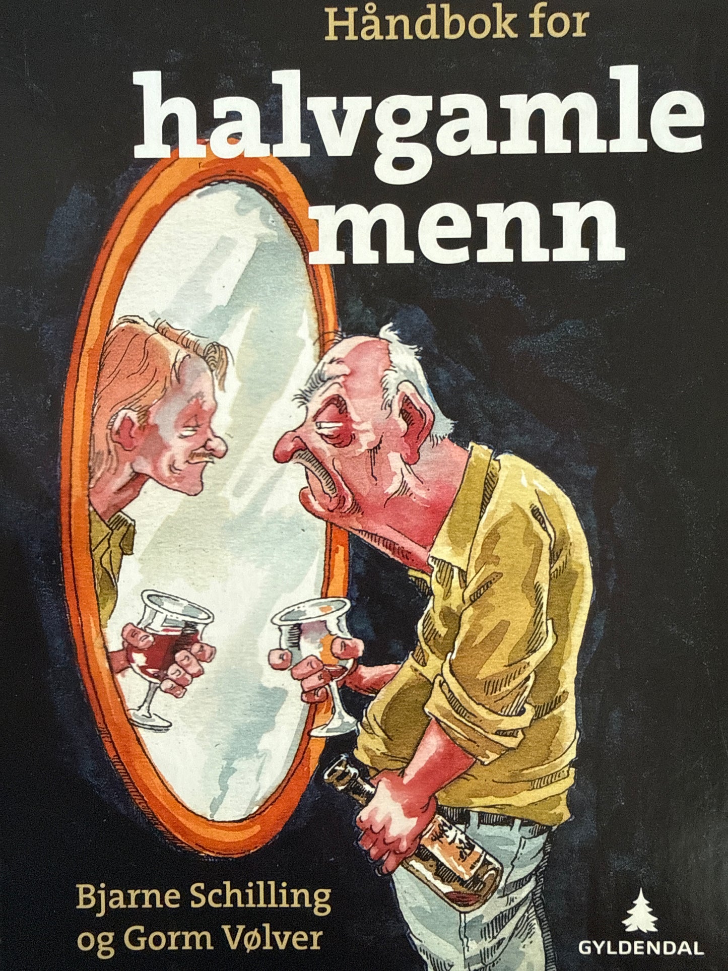 Håndbok for halvgamle menn - Innbundet