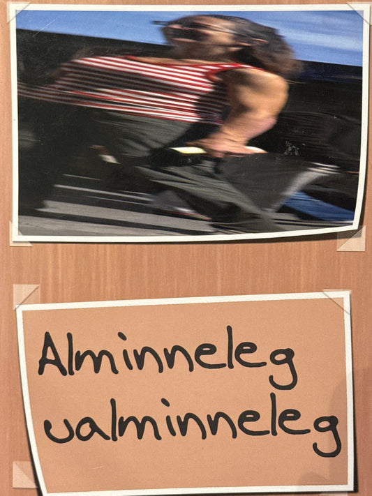 Alminneleg ualminneleg - Innbundet