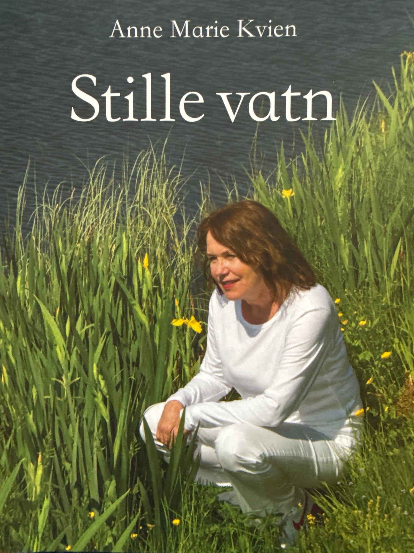 Stille vatn - Pocket