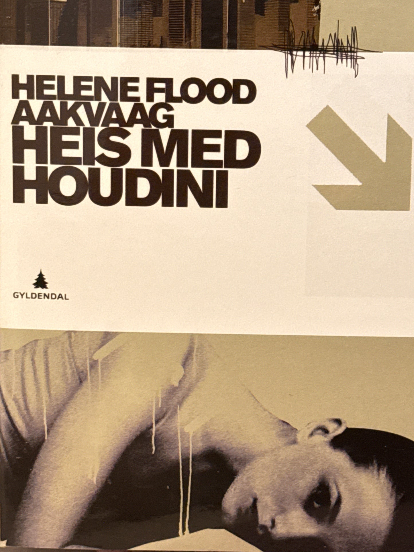 Heis med Houdini - Innbundet