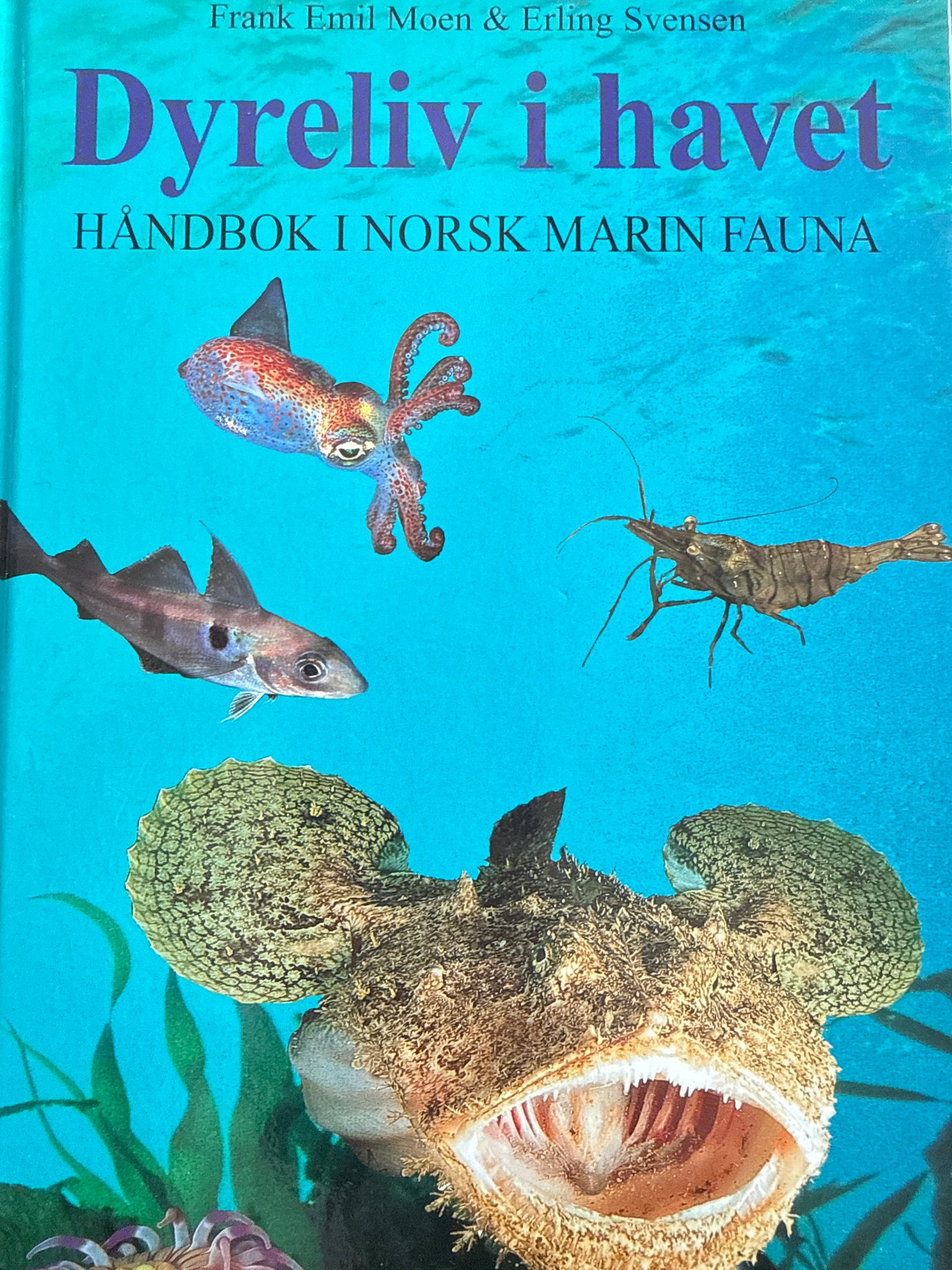 Dyreliv i havet - Innbundet
