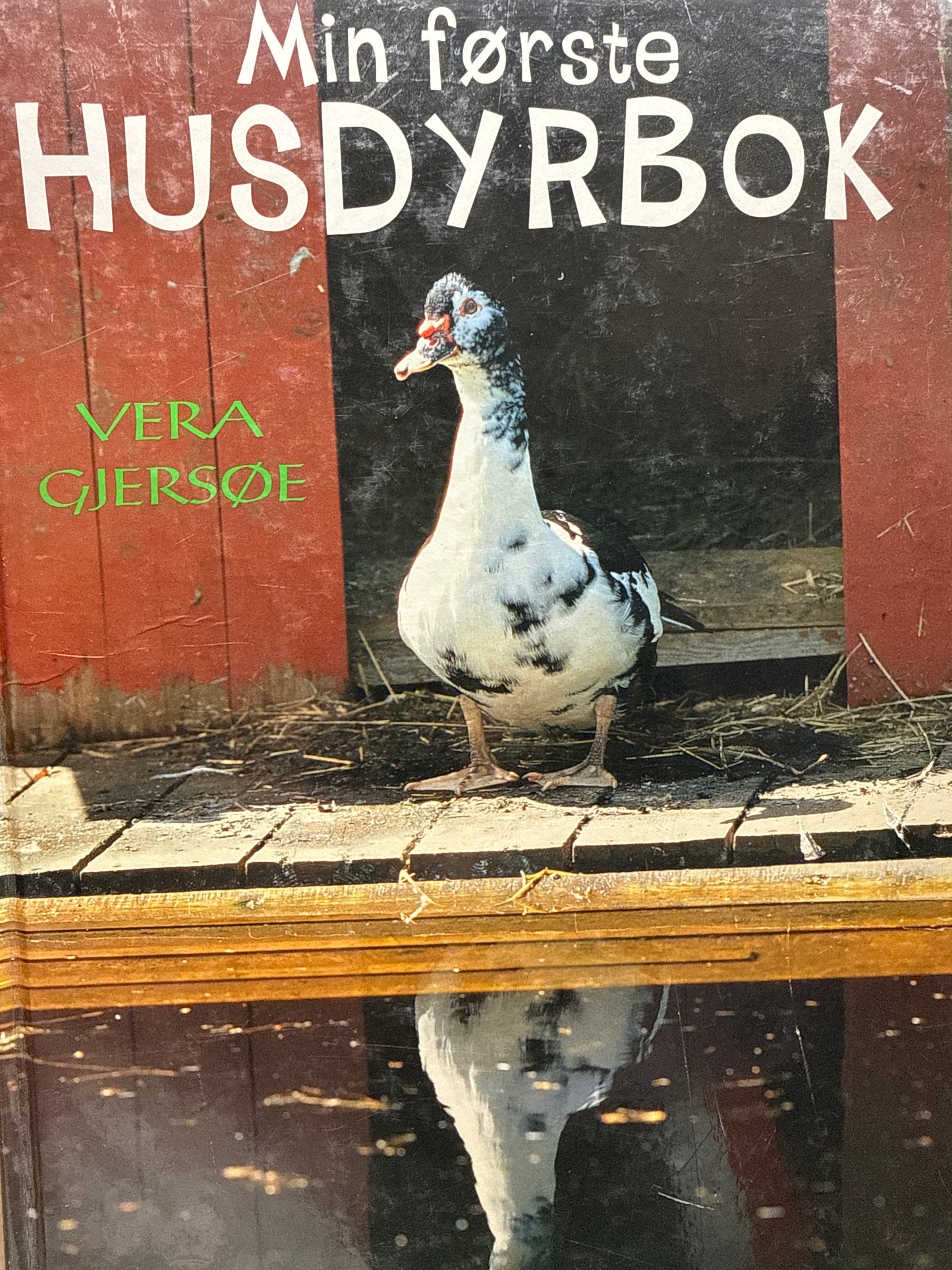 Min første husdyrbok - Innbundet
