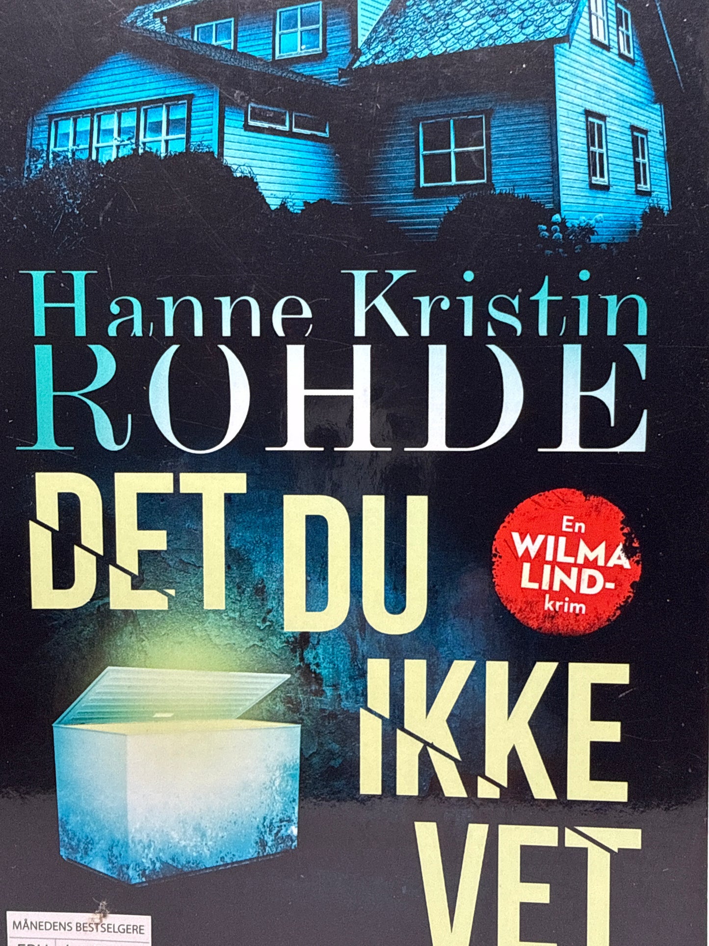 Det du ikke vet - Pocket