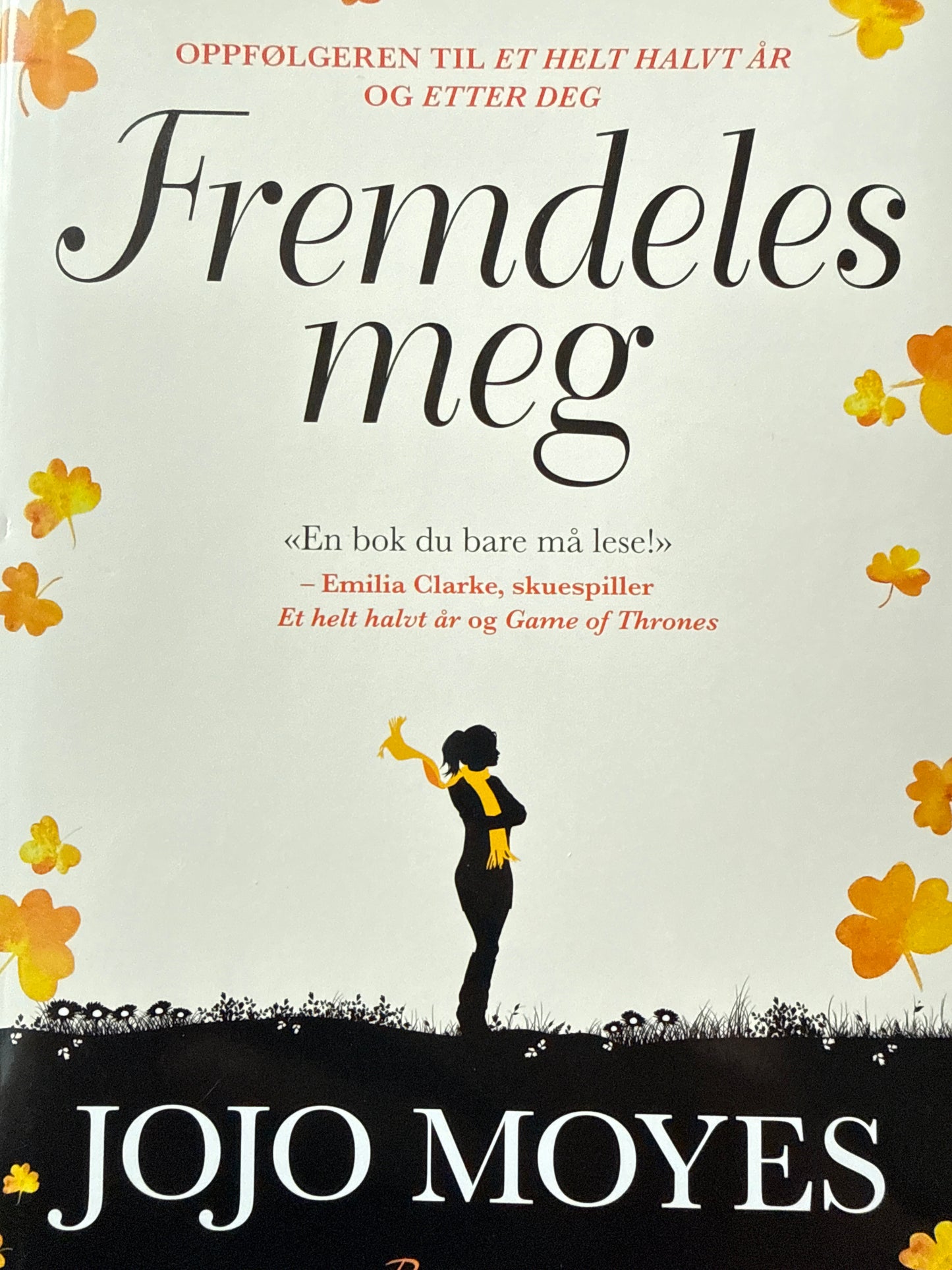 Fremdeles meg - Innbundet