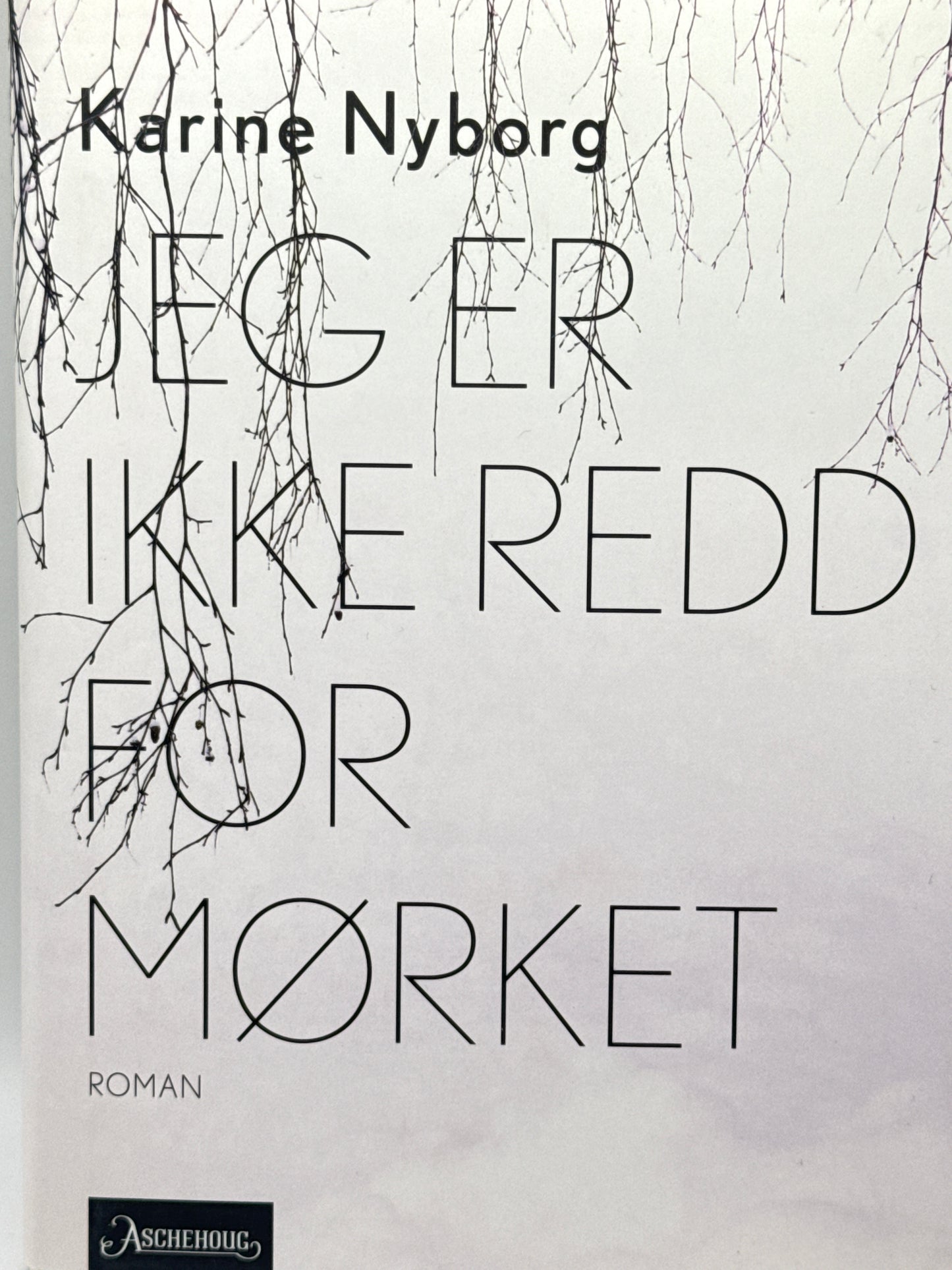 Jeg er ikke redd for mørket - Innbundet