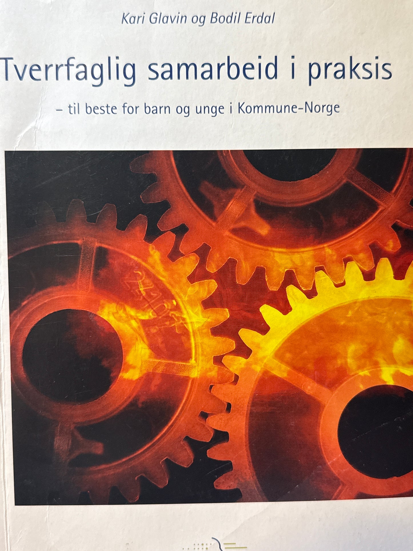 Tverrfaglig samarbeid i praksis - Pocket