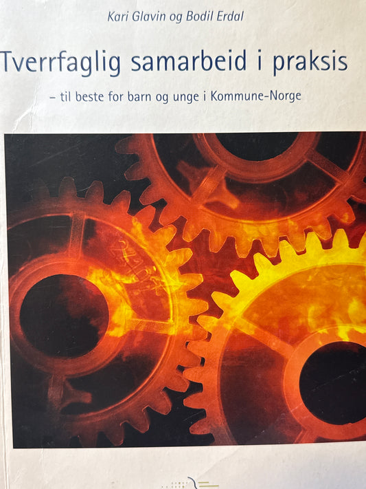 Tverrfaglig samarbeid i praksis - Pocket