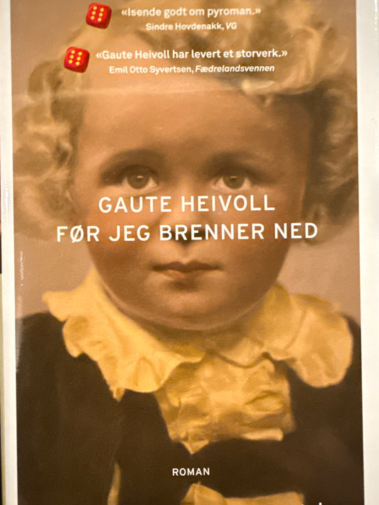 Før jeg brenner ned - Innbundet