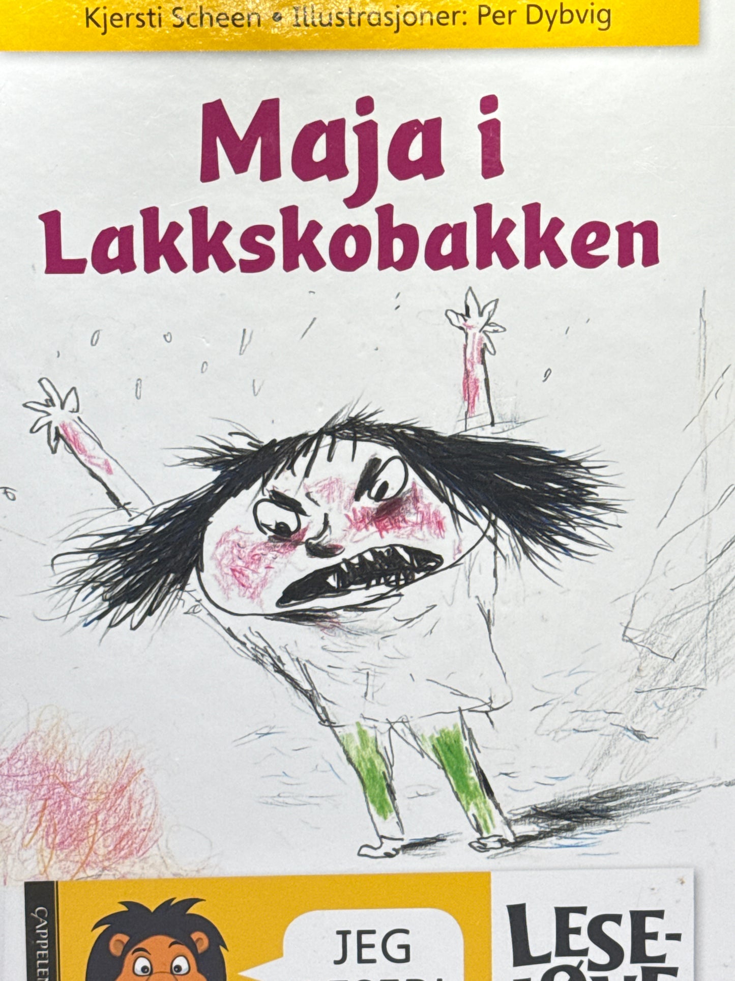 Maja i Lakkskobakken - Innbundet