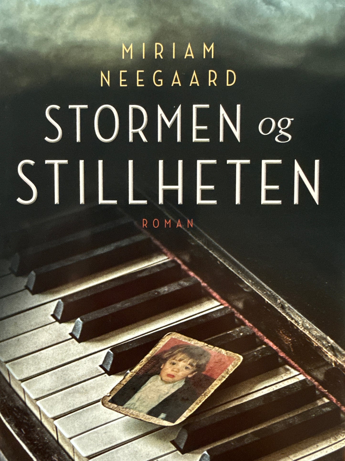 Stormen og stillheten - Innbundet