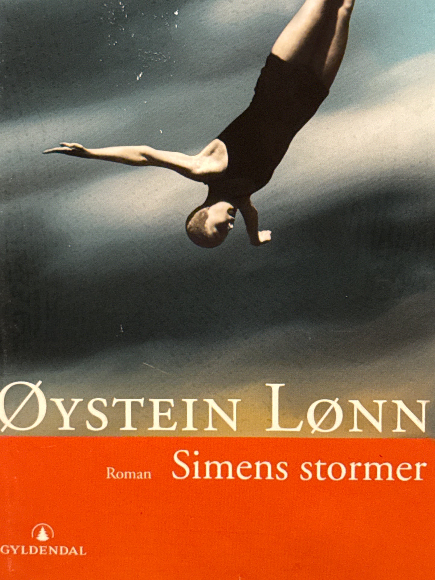 Simens stormer - Innbundet