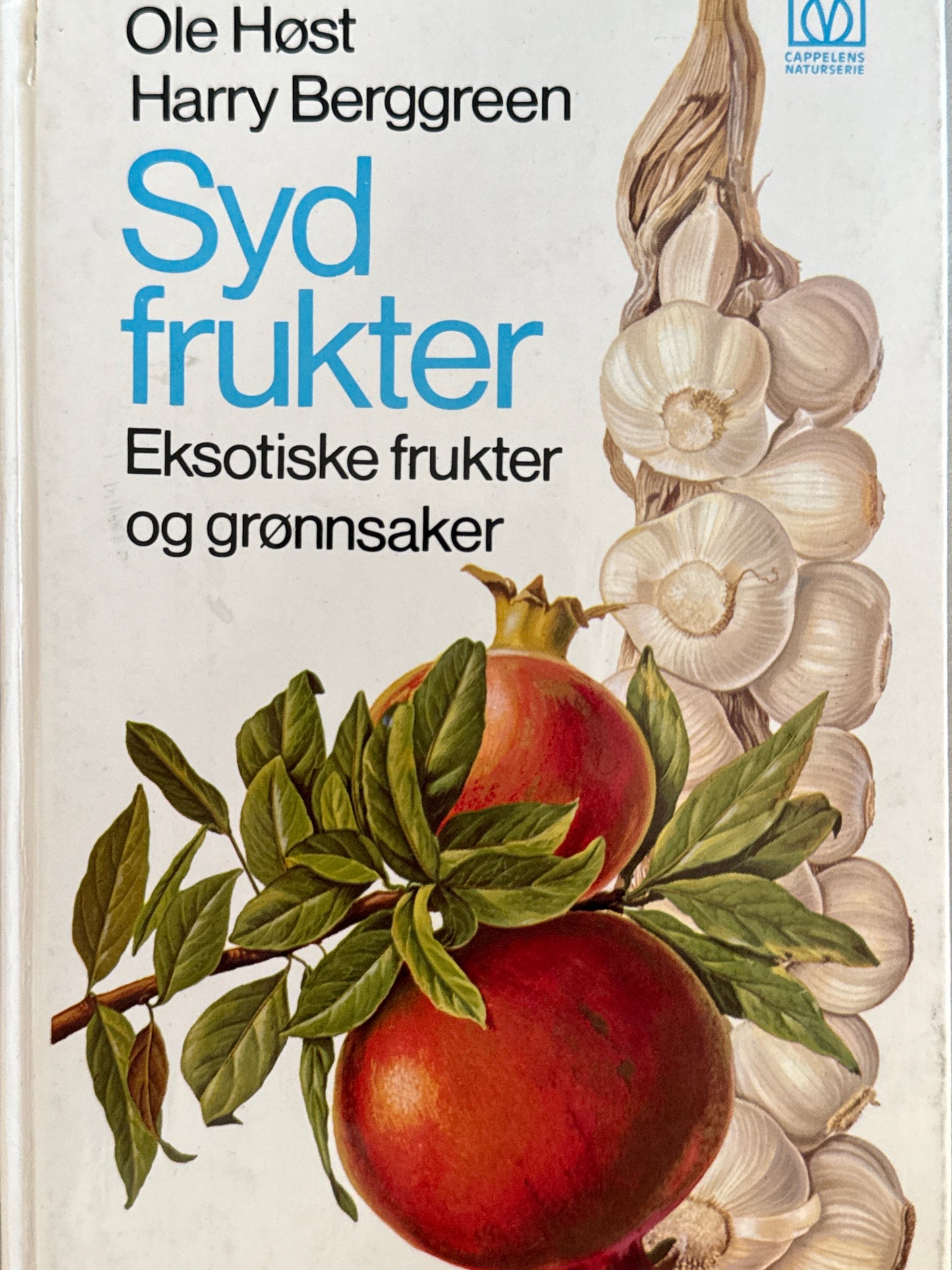 Sydfrukter - Innbundet