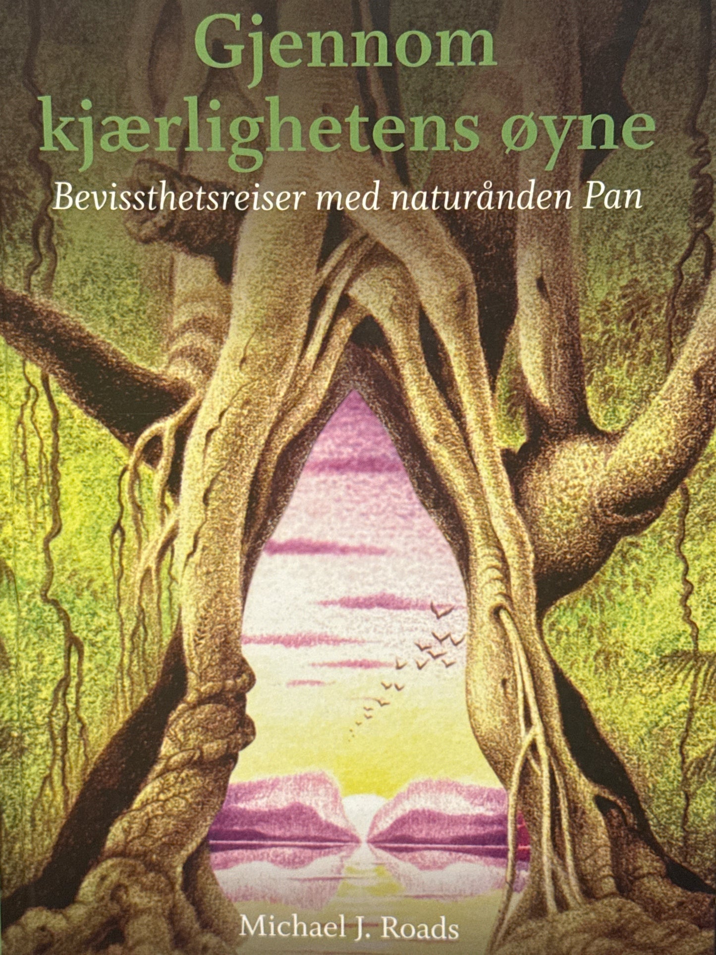 Gjennom kjærlighetens øyne - Innbundet